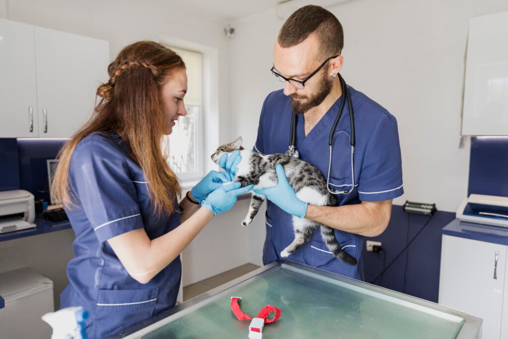 Funding Options for Expanding a Veterinary